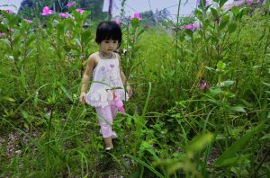 Child Support in Thailand